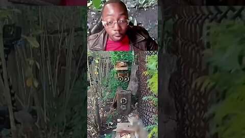 This Guy is Hunting Squirrels Like Never Before!!! You'll Be Shocked!