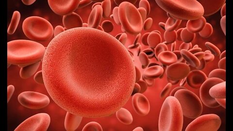 Stanford University: ‘Harvesting Blood & Organs of Children’ Could Help Achieve ‘Immortality’