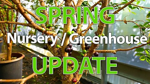 2023 SPRING Nursery + Greenhouses Update! @ Sandhill Farm!