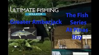 Ultimate Fishing Simulator: The Fish - PinasBay - Greater Amberjack - [00040]