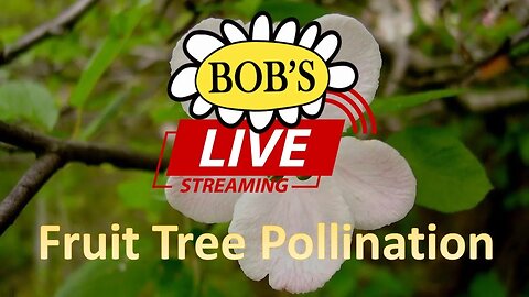 105 Bob's LIVE: Fruit Tree Pollination
