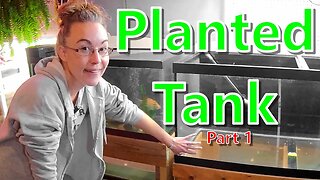 Planted Tank (Part 1)