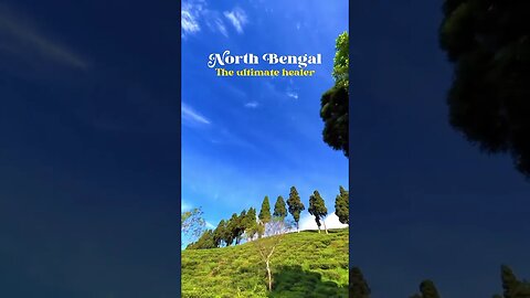 #WestBengal #beautyofbengal #hills #naturelovers #viralshorts2023 (suscribe for more)❤️