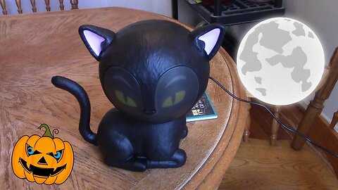 Eek The Black Halloween Cat Review! 😻