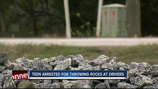 Juvenile arrested for reportedly throwing rocks at cars in Pasco County