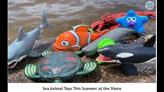 Sea Animal Toys This summer At The Store