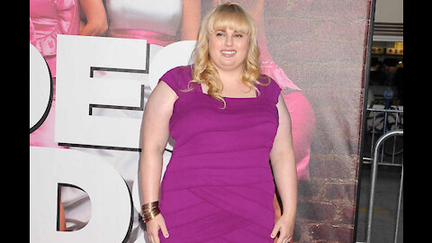 Rebel Wilson was meant to play Melissa McCarthy's character in Bridesmaids