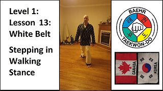 Baehr Taekwondo: 01-13: White Belt: Stepping In Walking Stance