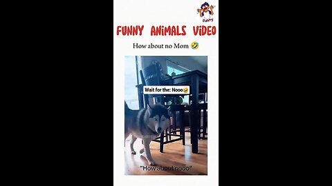 Funny Hilarious video That makes you Laugh😂😂 part-13
