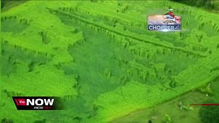 Crop circles found in rural Wisconsin farm