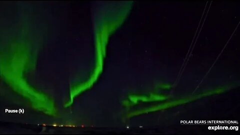 Northern Lights-Churchill, Canada 🌟 12/27/22