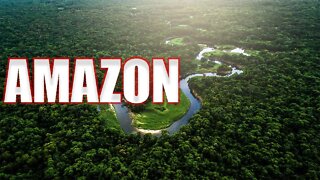THE WORLD'S LARGEST RAINFOREST | AMAZON | | JUNGLE |AMAZON RAINFOREST | | Wildlife |