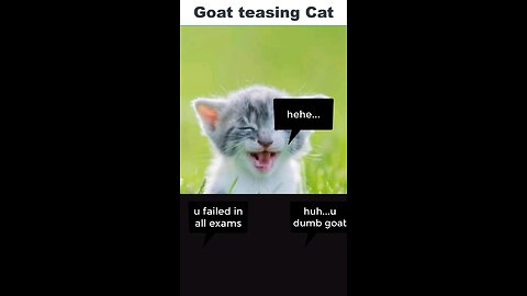 goat teasing cat