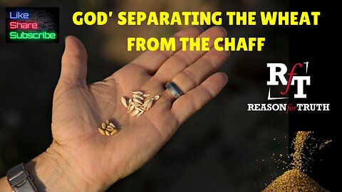 GOD'S SEPARATING WHEAT FROM CHAFF!