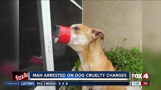 Accused dog abuser expected in court Tuesday