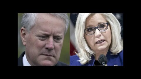 Liz Cheney Reads Damning Text Messages From Don Jr & Fox News Host To Mark Meadows During Jan 6th