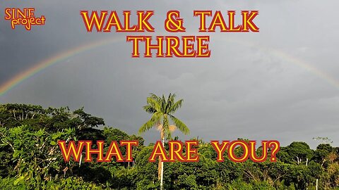 WALK & TALK 3 / WHAT ARE YOU?