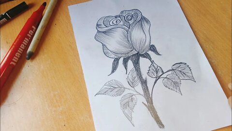 how to draw a rose 🌹- rose drawing easy - beautiful rose drawing step by step