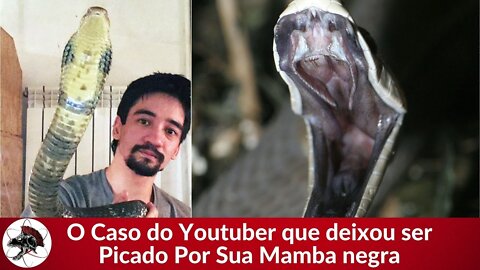 O caso do Youtuber Russo Picado por Mamba-negra | Biólogo Henrique o Biólogo das Cobras