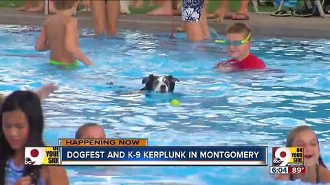 Dogfest and K-9 Kerplunk in Montgomery