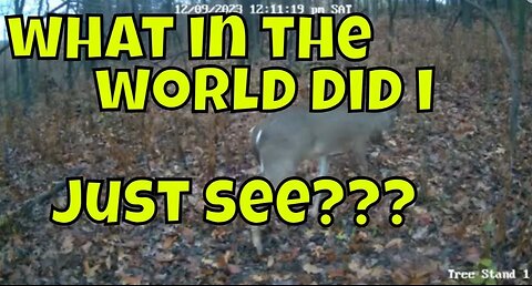 Strange And Unusual Trail Cam Footage #unexpected #deer