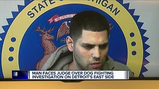 Man arraigned on charges in dog fighting ring in Detroit