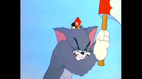 Tom Jerry cartoons funny cartoon