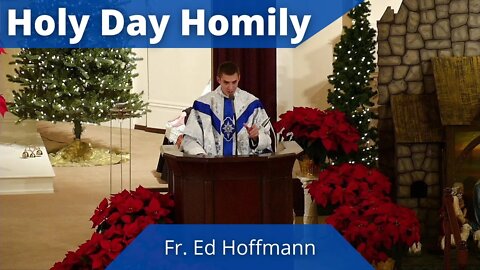 Homily for the Solemnity of the Blessed Virgin Mary, the Mother of God - Father Ed Hoffmann