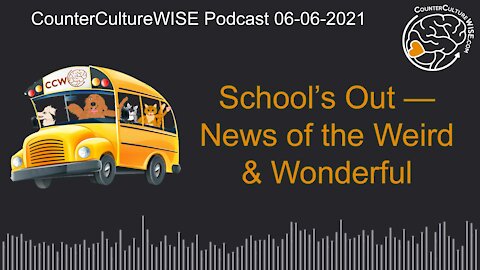 06-06-2021 School’s Out — News of the Weird & Wonderful