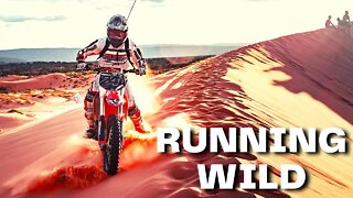 Wiguez, Vizzen, Maestro Chives - Running Wild#Drum and Bass Music [#FreeRoyaltyBackgroundMusic]