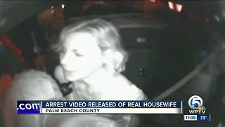 Video shows arrest of 'Real Housewife' Luann de Lesseps on Palm Beach last year