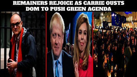 Carrie Symonds Ousted Dominic Cummings To Help Push Boris Johnson's Green Industrial Revolution