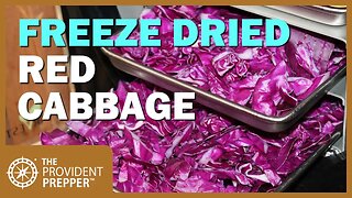 Food Storage: Freeze Dried Red Cabbage