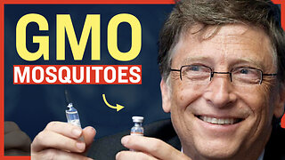 Bill Gates GMO Mosquitos