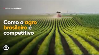 A eficiência do Agro Brasileiro em comparação com outros países