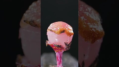 Exploring macro delights in slow motion ⏱️ Part 5