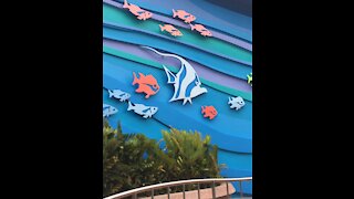 The Seas with Nemo and Friends attraction at Epcot in 4K low light POV