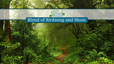 A Serene Blend of Birdsong and Meditation Music