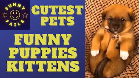 Cutest Puppies and Kittens | Funny Cats and Dogs