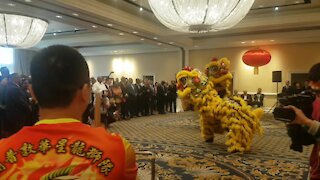 SOUTH AFRICA - Cape Town - Chinese New Year (Video) (A4p)