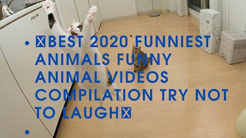 💗BEST 2020 FUNNIEST ANIMALS Funny Animal Videos Compilation Try Not To Laugh