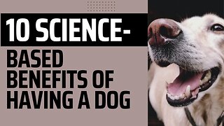 10 Science-Based Benefits of Having a Dog.