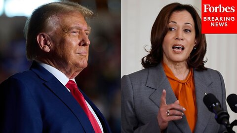 How The 'Electability Bias' Could Harm Kamala Harris In A Matchup With Donald Trump| N-Now ✅