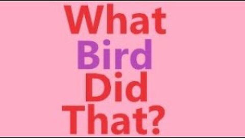 What Bird Did That?