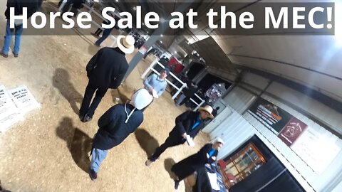 Michiana Event Center Horse Sale