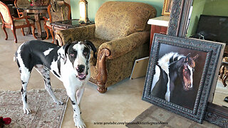 Great Dane Shows Off Horse Paintings by Lawrence Dyer