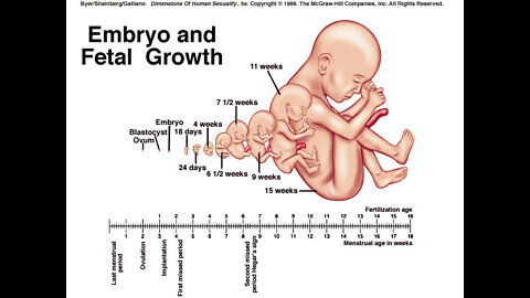 The Origin of Abortion in Scripture