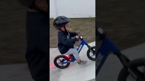 3 Years Old & Hitting the Big Jumps!