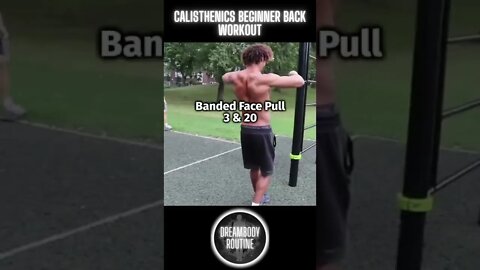 Calisthenics Beginner Back Workout