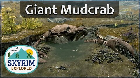 Fossilized Giant Mudcrab | Skyrim Explored